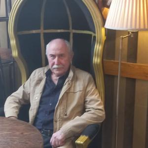 Владимир, 71 год, Белгород