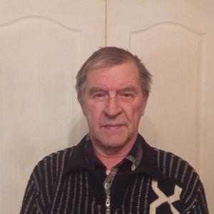 Парни в Вологде: Владимир, 73 - ищет девушку из Вологды