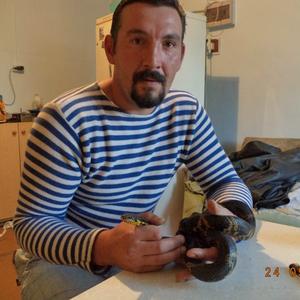 Roman, 45 лет, Иркутск