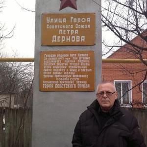 Парни в Донское (Ставропольский край): Виктор, 74 - ищет девушку из Донское (Ставропольский край)