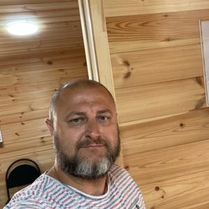 Серый, 44 года, Челябинск
