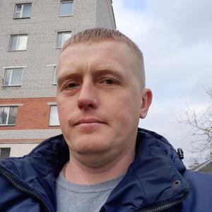 Николай, 37 лет, Витебск