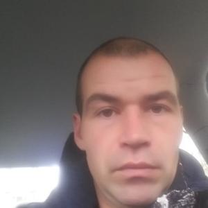 Павел Павел, 37 лет, Сыктывкар