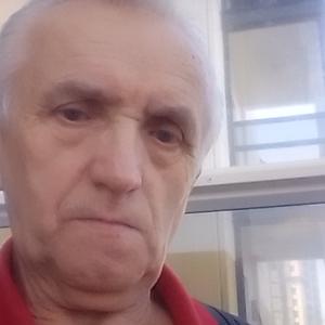 Парни в Дедовичи: Александр, 69 - ищет девушку из Дедовичи