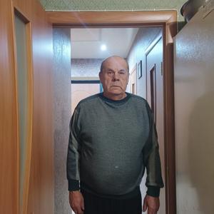Сергей Алексеевич, 66 лет, Смоленск
