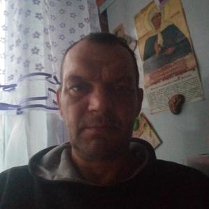 Владимир, 49 лет, Удмурт Китяк