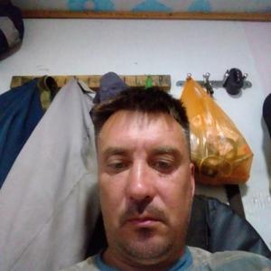 Виктор, 42 года, Каневская