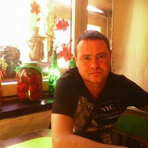 Алексей Маркелов, 45 лет, Архангельск