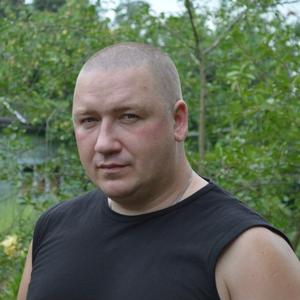 Анатолий, 44 года, Владимир