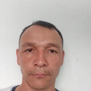 Таджиев  Надирбек, 45 лет, Ташкент