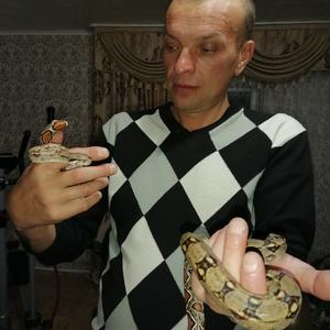 Парни в Казани (Татарстан): Сергей, 45 - ищет девушку из Казани (Татарстан)