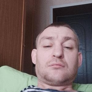 Андрей, 39 лет, Подольск