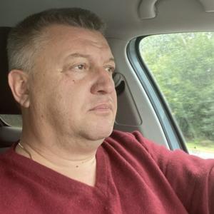 Юрий, 53 года, Курск