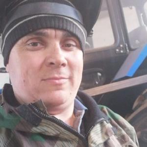 Николай Мальков, 39 лет, Красноярский