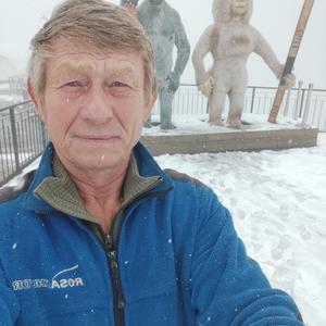 Андрей, 67 лет, Сочи