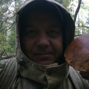 Андрей Гилёв, 53 года, Нижний Тагил
