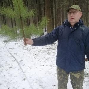 Владимир, 59 лет, Мытищи