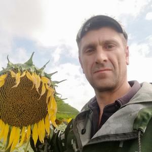 Дмитрий, 44 года, Славгород