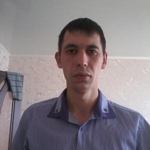 Фарит Загреев, 36 лет, Нижнекамск