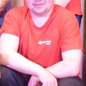 Иван, 44 года, Поддорье