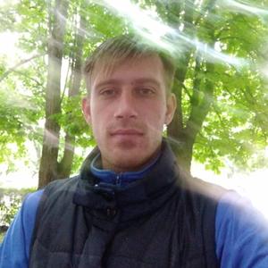 Сергей, 29 лет, Железногорск