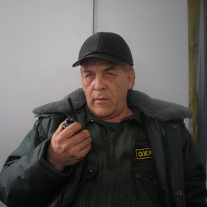 Владимир., 66 лет, Ульяновск