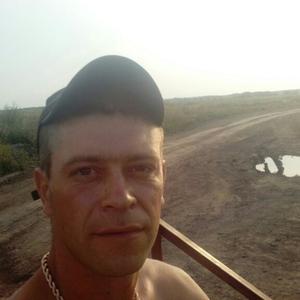 Степан, 34 года, Бородино
