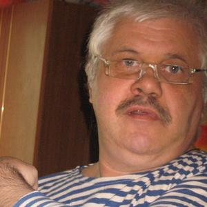 Виктор Никулин, 65 лет, Челябинск