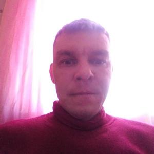 Станислав, 41 год, Томск