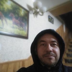 Владимир, 48 лет, Романовская