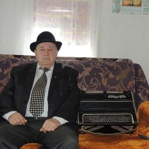 Валентин, 81 год, Волгоград