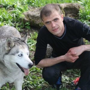 Дима Степанов, 39 лет, Великий Новгород