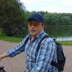 Юрий Миронов, 65 лет, Санкт-Петербург