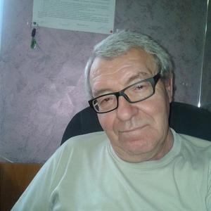 Владимир, 75 лет, Звенигород