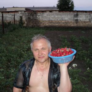 Владимир, 63 года, Забитуй