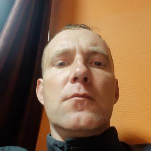 Кирилл Золотилин, 44 года, Гомель