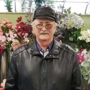 Анатолий, 68 лет, Омск