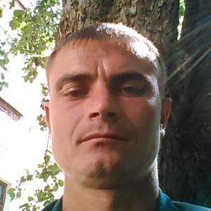 Парни в Солнечнодольске: Nikolai Omelnitskii, 38 - ищет девушку из Солнечнодольска