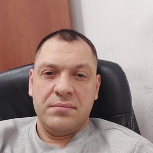Владимир, 41 год, Архангельск