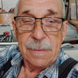 Равхат, 74 года, Владивосток