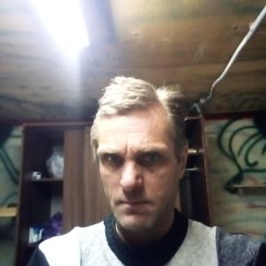 Андрей, 46 лет, Брянск
