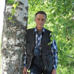 Виктор Алексеевич, 72 года, Покров