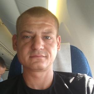 Sergo, 37 лет, Минск
