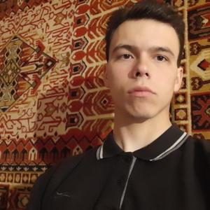 Александр, 24 года, Витебск