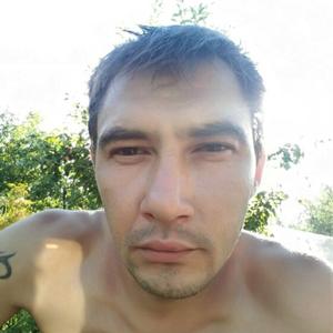 Айнур, 43 года, Казань