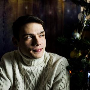 Дмитрий, 32 года, Бердск
