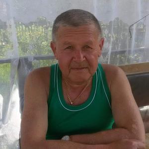 Парни в г. Березники (Пермский край): Владимир Шаврин, 66 - ищет девушку из г. Березники (Пермский край)