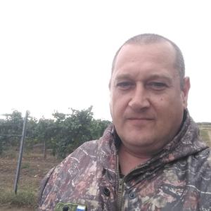 Витос, 44 года, Ставрополь