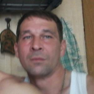 Юра, 43 года, Курск