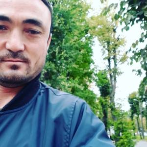 Asad, 36 лет, Краснодар